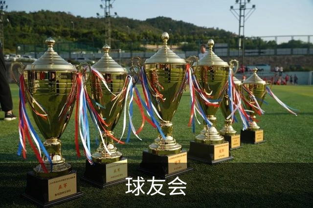 球友会公司简介展示图